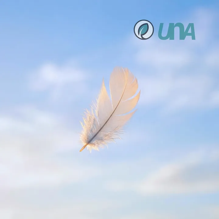 She Was Always Meant to Fly — album cover